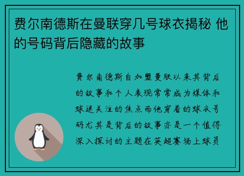 费尔南德斯在曼联穿几号球衣揭秘 他的号码背后隐藏的故事